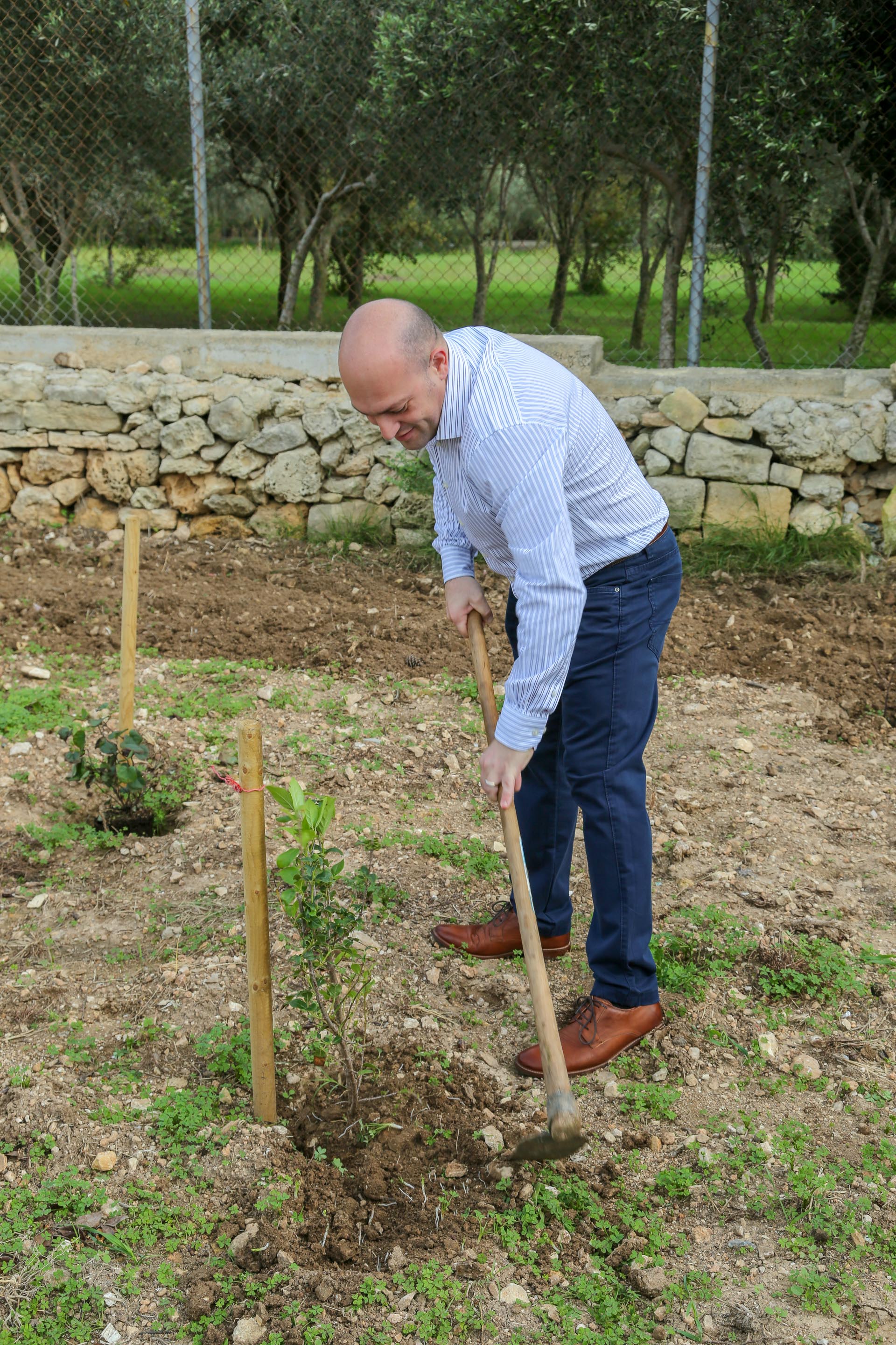 Tree Planting James