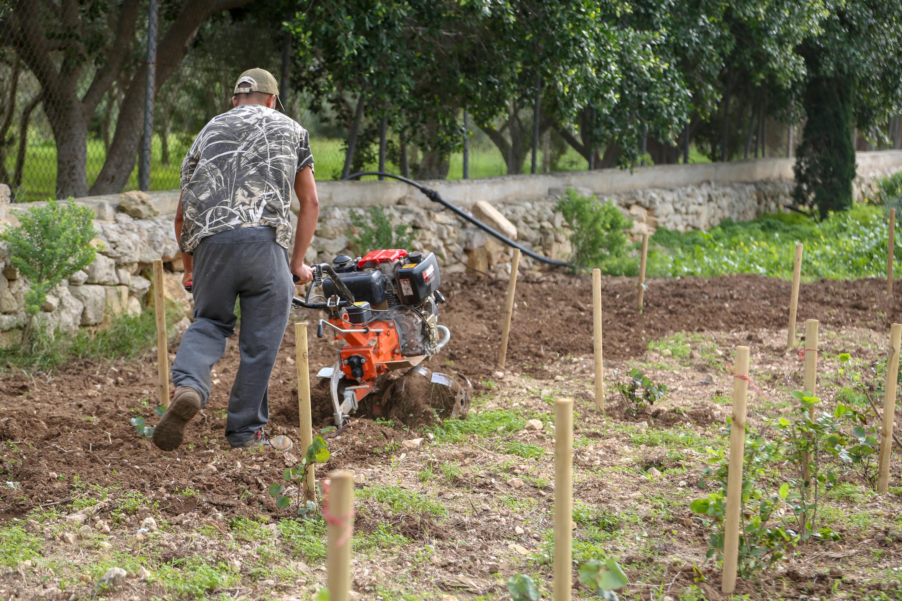 Tree Planting Men at Work