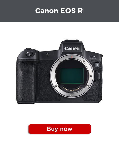 Canon EOS R