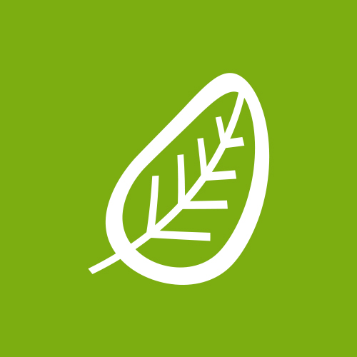 sustainability Solutions to Improve Sustainability_leaf iconbanner