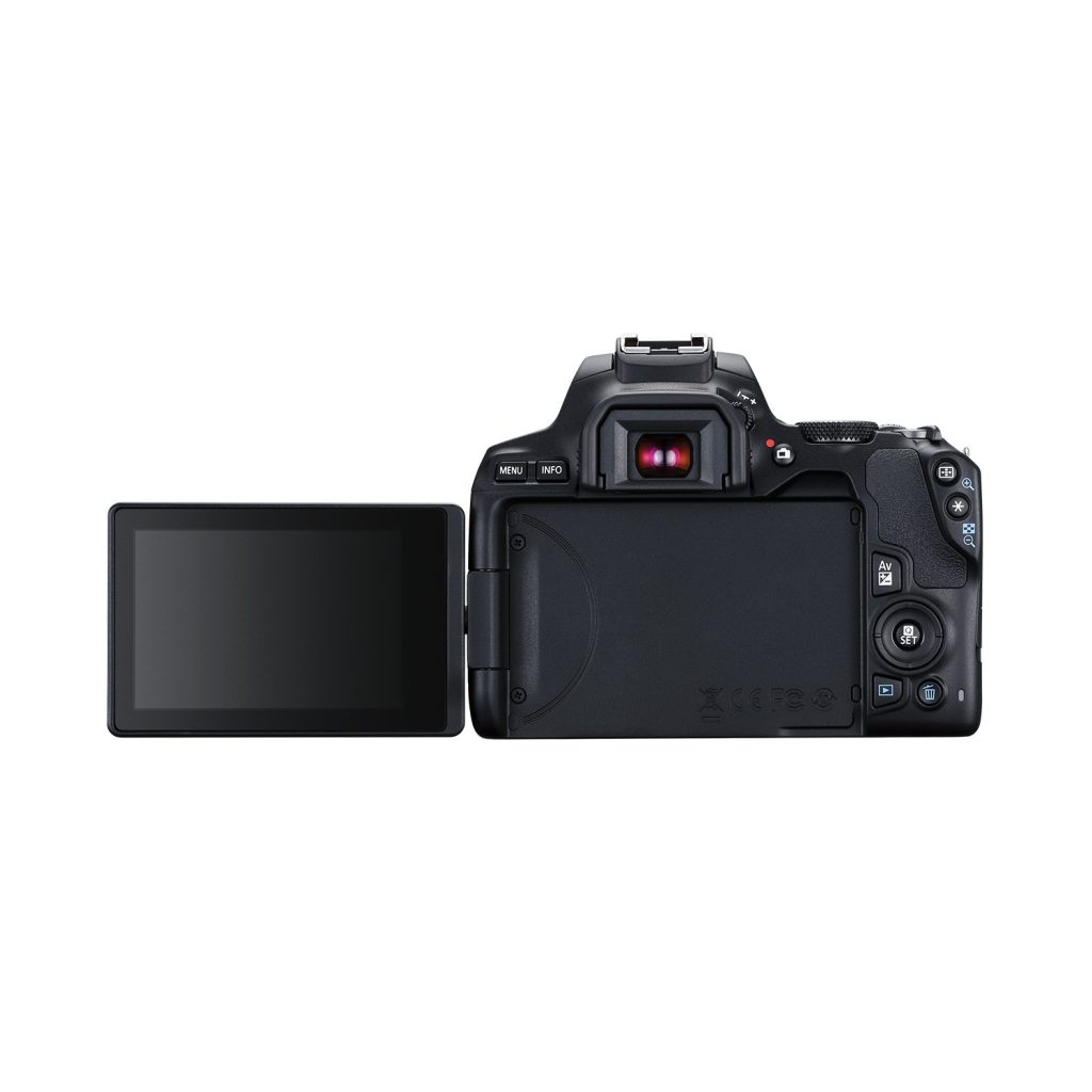 Canon EOS 250D + EF-S 18-55mm f/4-5.6 IS STM - Image 3