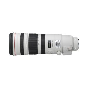 Canon EF 200-400mm f/4L IS USM Extender 1.4x