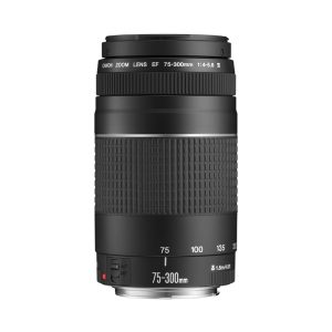 Canon EF 75-300mm f/4-5.6 III