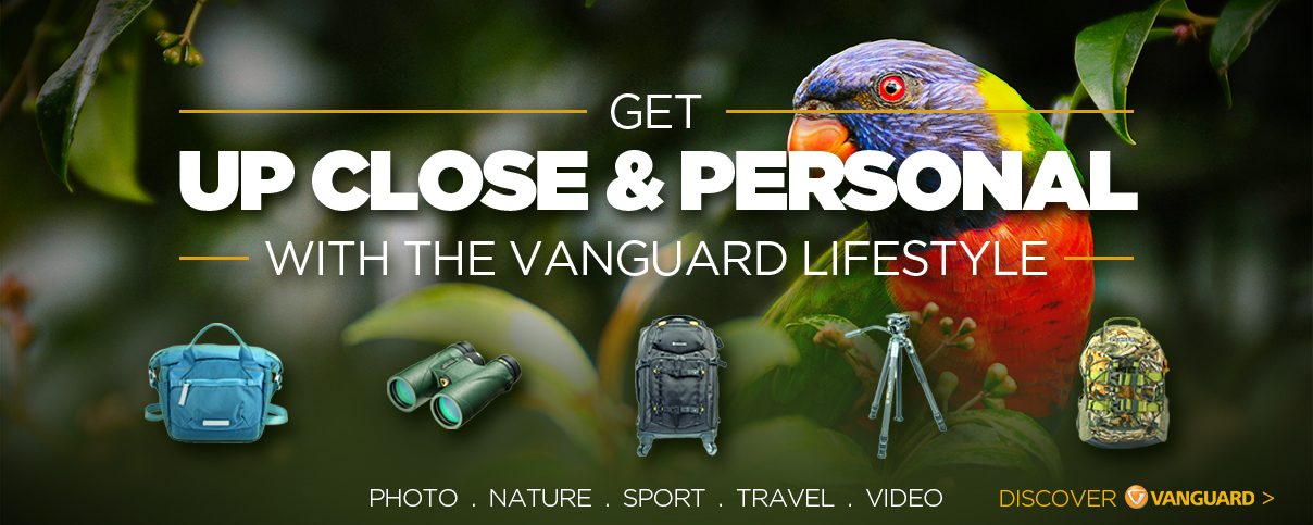 Vanguard Banner_Desktop
