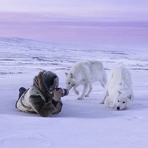 Get Ready for the Season