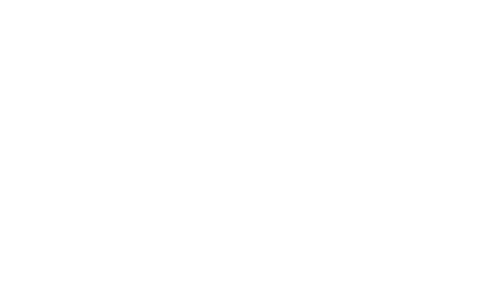 Canon Pro Partner